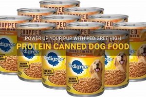 Best High Protein Canned Dog Food: Benefits & Brands World’s Most Delicious Foods: Must-Try Dishes from Every Country Best High Protein Canned Dog Food: Benefits & Brands | World’s Most Delicious Foods: Must-Try Dishes from Every Country