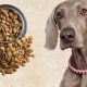Weimaraner Diet: Top Foods for a Healthy Weim! | World’s Most Delicious Foods: Must-Try Dishes from Every Country