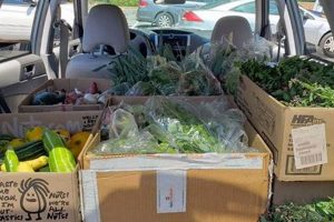 Donate Food Near Me: Drop-Off Locations & Help Local! World’s Most Delicious Foods: Must-Try Dishes from Every Country Donate Food Near Me: Drop-Off Locations & Help Local! | World’s Most Delicious Foods: Must-Try Dishes from Every Country