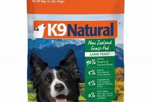 Is K9 Naturals Dog Food Right for Your Dog? Review + Guide World’s Most Delicious Foods: Must-Try Dishes from Every Country Is K9 Naturals Dog Food Right for Your Dog? Review + Guide | World’s Most Delicious Foods: Must-Try Dishes from Every Country
