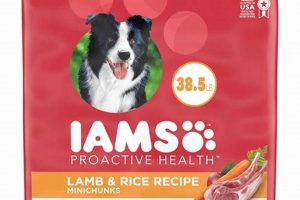 Best Red Dog Food: Healthy & Delicious [2024] | World’s Most Delicious Foods: Must-Try Dishes from Every Country