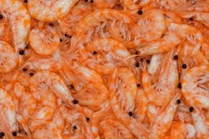 Best Krill Fish Food: Nutrition & Benefits World’s Most Delicious Foods: Must-Try Dishes from Every Country Best Krill Fish Food: Nutrition & Benefits | World’s Most Delicious Foods: Must-Try Dishes from Every Country