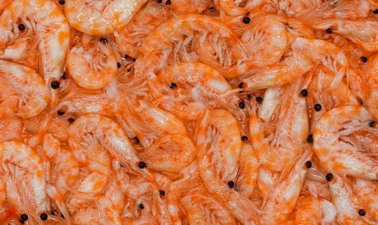 Best Krill Fish Food: Nutrition & Benefits World’s Most Delicious Foods: Must-Try Dishes from Every Country Best Krill Fish Food: Nutrition & Benefits | World’s Most Delicious Foods: Must-Try Dishes from Every Country