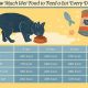 Easy Guide: How Do I Get My Cat to Eat Wet Food? Tips &amp; Tricks | World’s Most Delicious Foods: Must-Try Dishes from Every Country