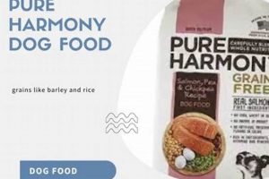 Honest Reviews on Pure Harmony Dog Food: Is It Good? World’s Most Delicious Foods: Must-Try Dishes from Every Country Honest Reviews on Pure Harmony Dog Food: Is It Good? | World’s Most Delicious Foods: Must-Try Dishes from Every Country