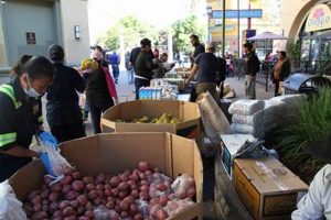 Your Guide to Fruitvale Food Bank Resources Today World’s Most Delicious Foods: Must-Try Dishes from Every Country Your Guide to Fruitvale Food Bank Resources Today | World’s Most Delicious Foods: Must-Try Dishes from Every Country