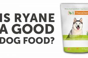 Rayne Dog Food: Special Diet Choices For Canine Wellness World’s Most Delicious Foods: Must-Try Dishes from Every Country Rayne Dog Food: Special Diet Choices For Canine Wellness | World’s Most Delicious Foods: Must-Try Dishes from Every Country