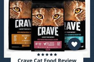 Honest Crave Cat Food Reviews: Is It Worth It? World’s Most Delicious Foods: Must-Try Dishes from Every Country Honest Crave Cat Food Reviews: Is It Worth It? | World’s Most Delicious Foods: Must-Try Dishes from Every Country