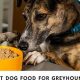 The Best Dog Food for Greyhounds: Fuel Your Speedster! | World’s Most Delicious Foods: Must-Try Dishes from Every Country