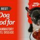 Best Dog Food for Irritable Bowel Relief: Buyer's Guide | World’s Most Delicious Foods: Must-Try Dishes from Every Country