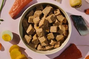 Top Best Grain Free Wet Dog Food: Reviews + Guide World’s Most Delicious Foods: Must-Try Dishes from Every Country Top Best Grain Free Wet Dog Food: Reviews + Guide | World’s Most Delicious Foods: Must-Try Dishes from Every Country
