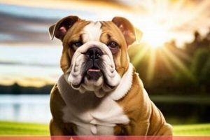 Top Choices: Best Dog Food for English Bulldog Puppy Guide World’s Most Delicious Foods: Must-Try Dishes from Every Country Top Choices: Best Dog Food for English Bulldog Puppy Guide | World’s Most Delicious Foods: Must-Try Dishes from Every Country