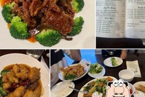 Best Chinese Food Hendersonville, TN: Find Your Flavor! World’s Most Delicious Foods: Must-Try Dishes from Every Country Best Chinese Food Hendersonville, TN: Find Your Flavor! | World’s Most Delicious Foods: Must-Try Dishes from Every Country