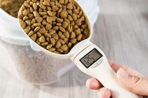 Accurate Cat Food Measuring Cup: Portion Control Guide World’s Most Delicious Foods: Must-Try Dishes from Every Country Accurate Cat Food Measuring Cup: Portion Control Guide | World’s Most Delicious Foods: Must-Try Dishes from Every Country