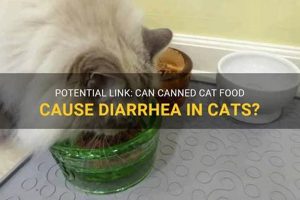 Why So Loose? Canned Cat Food Diarrhea Causes & Tips World’s Most Delicious Foods: Must-Try Dishes from Every Country Why So Loose? Canned Cat Food Diarrhea Causes & Tips | World’s Most Delicious Foods: Must-Try Dishes from Every Country