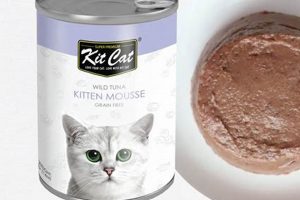 Best Cat Mousse Food: Healthy & Delicious Recipes World’s Most Delicious Foods: Must-Try Dishes from Every Country Best Cat Mousse Food: Healthy & Delicious Recipes | World’s Most Delicious Foods: Must-Try Dishes from Every Country