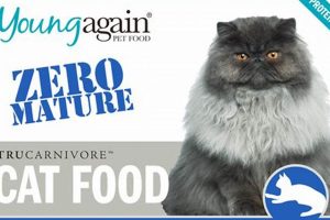 Is Young Again Zero Cat Food Right For Your Cat? Review World’s Most Delicious Foods: Must-Try Dishes from Every Country Is Young Again Zero Cat Food Right For Your Cat? Review | World’s Most Delicious Foods: Must-Try Dishes from Every Country