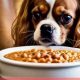 Guide: Best Food for Cavalier King Charles Spaniels + Tips | World’s Most Delicious Foods: Must-Try Dishes from Every Country