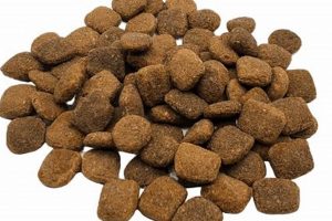 Best Meal Free Dog Food Brands: Healthier Choices! World’s Most Delicious Foods: Must-Try Dishes from Every Country Best Meal Free Dog Food Brands: Healthier Choices! | World’s Most Delicious Foods: Must-Try Dishes from Every Country
