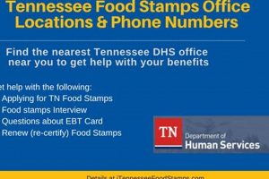 Knoxville Food Stamps: Your Guide to TN Benefits Office World’s Most Delicious Foods: Must-Try Dishes from Every Country Knoxville Food Stamps: Your Guide to TN Benefits Office | World’s Most Delicious Foods: Must-Try Dishes from Every Country