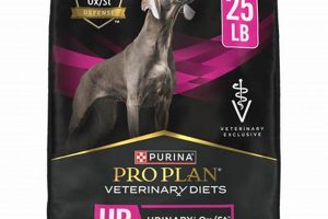 Pro Plan Urinary Dog Food: Support Your Dog's Health World’s Most Delicious Foods: Must-Try Dishes from Every Country Pro Plan Urinary Dog Food: Support Your Dog's Health | World’s Most Delicious Foods: Must-Try Dishes from Every Country