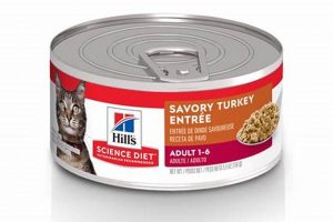 Best Canned Cat Food Turkey: Healthy & Delicious Choices World’s Most Delicious Foods: Must-Try Dishes from Every Country Best Canned Cat Food Turkey: Healthy & Delicious Choices | World’s Most Delicious Foods: Must-Try Dishes from Every Country