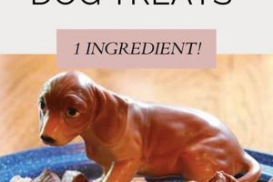 Why Beef Heart Dog Food? Benefits & More! World’s Most Delicious Foods: Must-Try Dishes from Every Country Why Beef Heart Dog Food? Benefits & More! | World’s Most Delicious Foods: Must-Try Dishes from Every Country