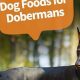 Guide: Best Dog Food for Doberman Puppy Growth & Health | World’s Most Delicious Foods: Must-Try Dishes from Every Country