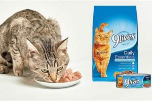 Honest 9Lives Cat Food Review: Is It Good Enough? World’s Most Delicious Foods: Must-Try Dishes from Every Country Honest 9Lives Cat Food Review: Is It Good Enough? | World’s Most Delicious Foods: Must-Try Dishes from Every Country