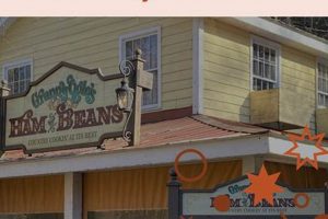 Dollywood Food Rules: Can You Take Food Into Dollywood? | Tips World’s Most Delicious Foods: Must-Try Dishes from Every Country Dollywood Food Rules: Can You Take Food Into Dollywood? | Tips | World’s Most Delicious Foods: Must-Try Dishes from Every Country