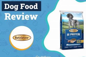 Best Retriever Dog Food Review {Year}: Expert Picks World’s Most Delicious Foods: Must-Try Dishes from Every Country Best Retriever Dog Food Review {Year}: Expert Picks | World’s Most Delicious Foods: Must-Try Dishes from Every Country