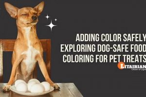 Safe Dog Food Coloring: What To Know (Guide) World’s Most Delicious Foods: Must-Try Dishes from Every Country Safe Dog Food Coloring: What To Know (Guide) | World’s Most Delicious Foods: Must-Try Dishes from Every Country