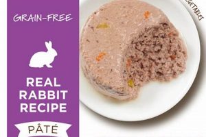 Best Rabbit Wet Cat Food: Healthy & Delicious! World’s Most Delicious Foods: Must-Try Dishes from Every Country Best Rabbit Wet Cat Food: Healthy & Delicious! | World’s Most Delicious Foods: Must-Try Dishes from Every Country