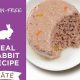Best Rabbit Wet Cat Food: Healthy & Delicious! | World’s Most Delicious Foods: Must-Try Dishes from Every Country