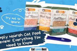 Is Simply Nourish Good Cat Food? Review + Alternatives World’s Most Delicious Foods: Must-Try Dishes from Every Country Is Simply Nourish Good Cat Food? Review + Alternatives | World’s Most Delicious Foods: Must-Try Dishes from Every Country