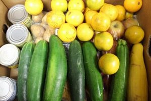 Local Vineyard Food Pantry: Nourishing Our Community World’s Most Delicious Foods: Must-Try Dishes from Every Country Local Vineyard Food Pantry: Nourishing Our Community | World’s Most Delicious Foods: Must-Try Dishes from Every Country