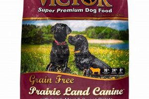 Best Lamb Grain Free Dog Food: Benefits & Brands World’s Most Delicious Foods: Must-Try Dishes from Every Country Best Lamb Grain Free Dog Food: Benefits & Brands | World’s Most Delicious Foods: Must-Try Dishes from Every Country