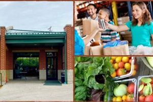 Your Guide: Lisle Food Pantry Assistance & Support World’s Most Delicious Foods: Must-Try Dishes from Every Country Your Guide: Lisle Food Pantry Assistance & Support | World’s Most Delicious Foods: Must-Try Dishes from Every Country
