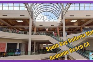 Top-Rated Best Food in the South Bay: Local's Guide World’s Most Delicious Foods: Must-Try Dishes from Every Country Top-Rated Best Food in the South Bay: Local's Guide | World’s Most Delicious Foods: Must-Try Dishes from Every Country