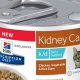 The Best Urinary Tract Cat Food: Expert Choices & Prevention | World’s Most Delicious Foods: Must-Try Dishes from Every Country