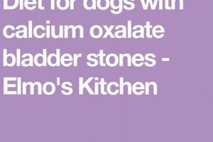 Dog: Homemade Food for Calcium Oxalate Stones, Simplified World’s Most Delicious Foods: Must-Try Dishes from Every Country Dog: Homemade Food for Calcium Oxalate Stones, Simplified | World’s Most Delicious Foods: Must-Try Dishes from Every Country