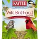 Guide to Best Wild Bird Food: Types &amp; Selection Tips | World’s Most Delicious Foods: Must-Try Dishes from Every Country