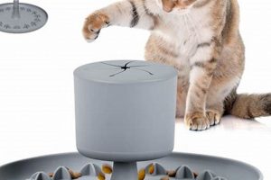 Best Cat Puzzle Feeder Wet Food: Keep Kitty Happy! World’s Most Delicious Foods: Must-Try Dishes from Every Country Best Cat Puzzle Feeder Wet Food: Keep Kitty Happy! | World’s Most Delicious Foods: Must-Try Dishes from Every Country