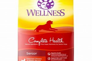 Best Wellness for Seniors Dog Food: Reviews & Benefits World’s Most Delicious Foods: Must-Try Dishes from Every Country Best Wellness for Seniors Dog Food: Reviews & Benefits | World’s Most Delicious Foods: Must-Try Dishes from Every Country