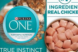 Top Best Grain Free Dry Cat Food: Reviews & Guide World’s Most Delicious Foods: Must-Try Dishes from Every Country Top Best Grain Free Dry Cat Food: Reviews & Guide | World’s Most Delicious Foods: Must-Try Dishes from Every Country