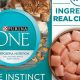 Top Best Grain Free Dry Cat Food: Reviews &amp; Guide | World’s Most Delicious Foods: Must-Try Dishes from Every Country