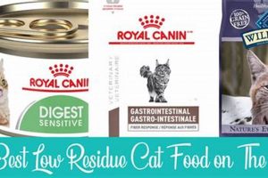 Best Low Residue Cat Food: Gentle Digestion Tips World’s Most Delicious Foods: Must-Try Dishes from Every Country Best Low Residue Cat Food: Gentle Digestion Tips | World’s Most Delicious Foods: Must-Try Dishes from Every Country