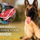 Fueling Fitness: The Best Food for Your Belgian Malinois | World’s Most Delicious Foods: Must-Try Dishes from Every Country