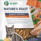 Nature's Feast Cat Food: Nourishing Your Feline Friend Now! | World’s Most Delicious Foods: Must-Try Dishes from Every Country