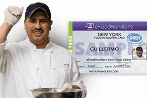 Free NYC Food Handler's License: Get Certified Now! World’s Most Delicious Foods: Must-Try Dishes from Every Country Free NYC Food Handler's License: Get Certified Now! | World’s Most Delicious Foods: Must-Try Dishes from Every Country